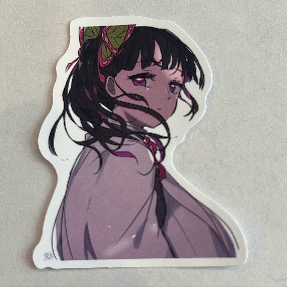 5/$10 Anime Waterproof Vinyl Decorative Stickers